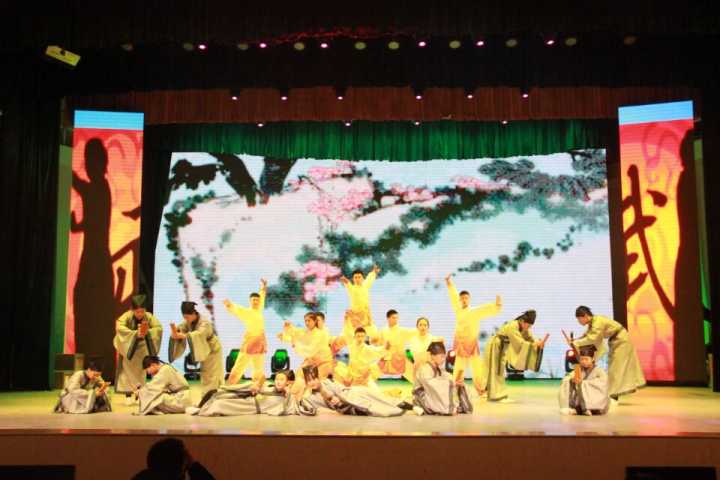 图一 公司参赛队伍表演照(王澳伦摄)